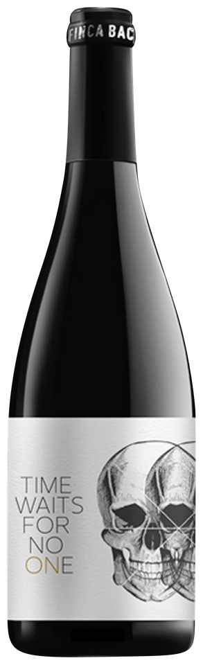 Time Waits For No One Double 750M