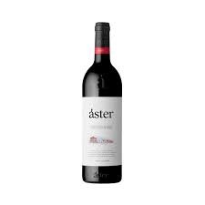 BOD ASTER RIBERA DEL DUERO