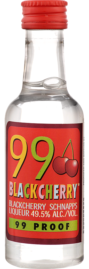 99 SCHNPS BLK CHRY PET 10/12PK 50ML