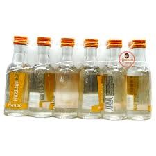 NEW AMSTERDAM VDK MANGO PET 12/10PK 50ML