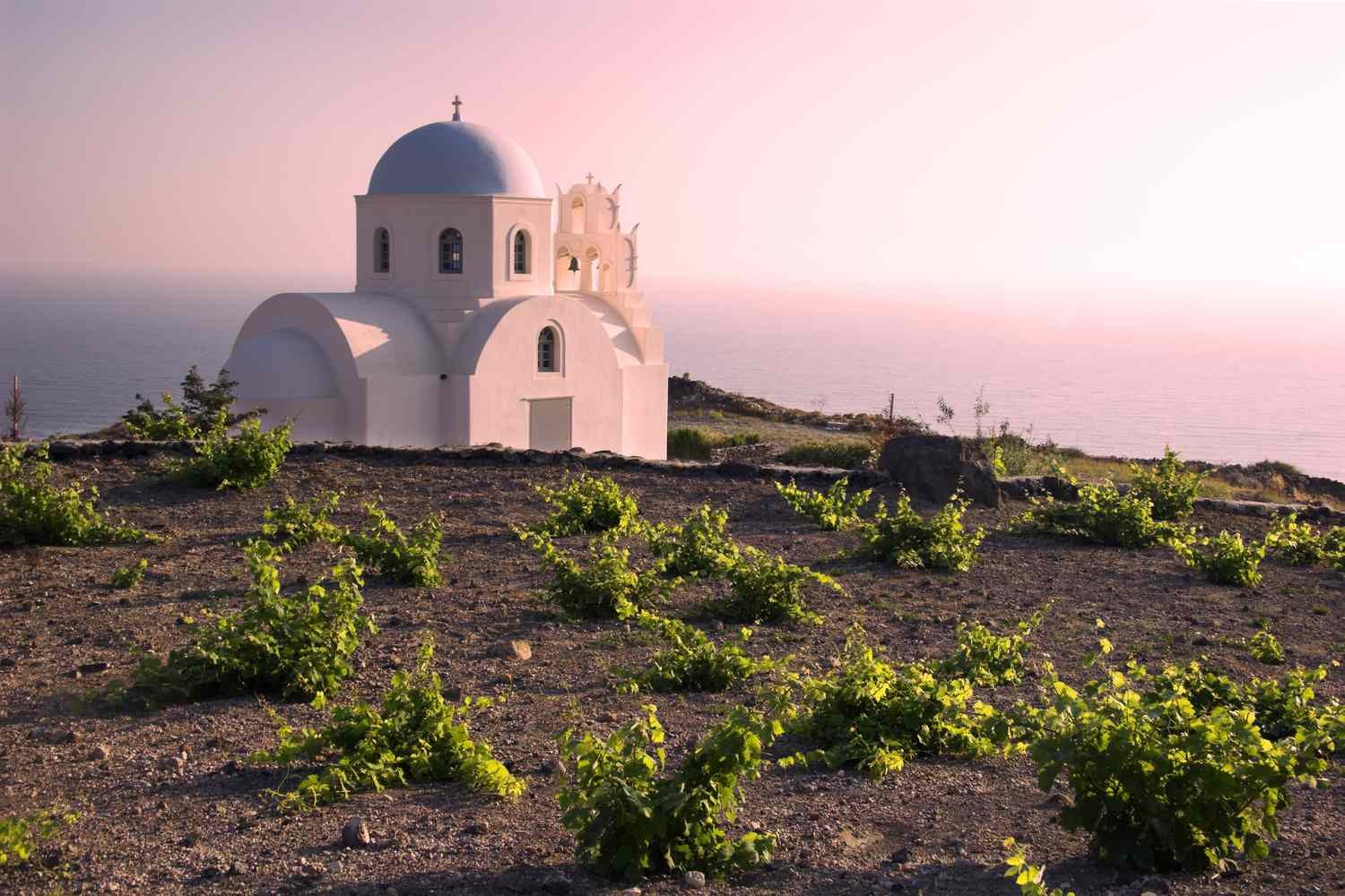 Event Ticket: Discover Greek Wines with Andreas Zinelis 🇬🇷🍷