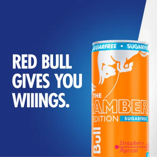 REDBULL AMBER EDITION STRAWBERRY APRICOT SUGAR FREE ENERGY DRINK 8.4OZ