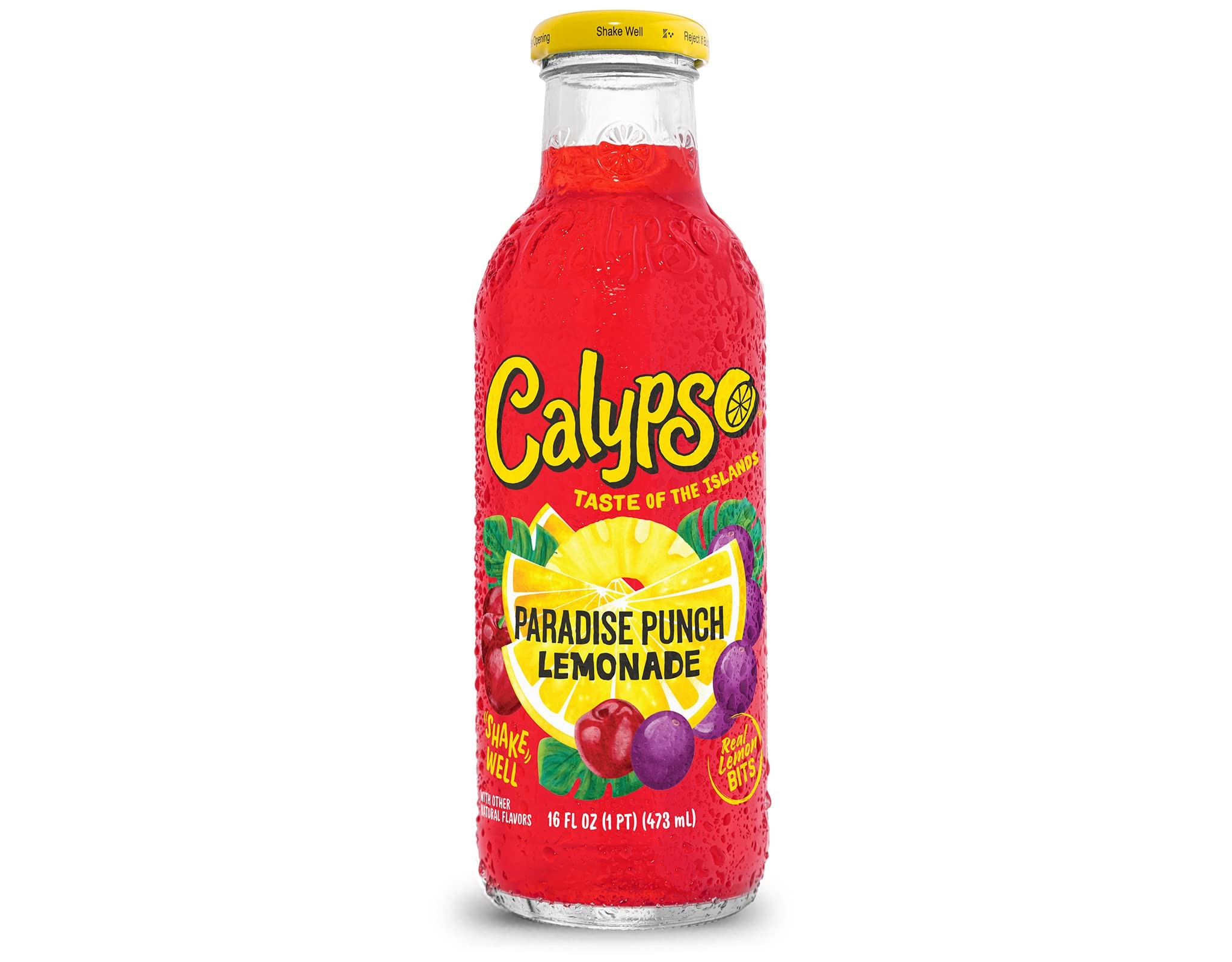 CALYPSO PARADISE PUNCH LEMONADE 16OZ