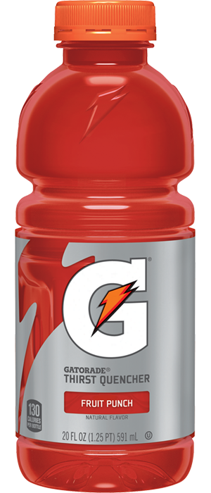 GATORADE THIRST QUENCHER FRUIT PUNCH 20OZ